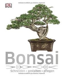 Bonsai schneiden gestalten - bonsai:, schneiden,