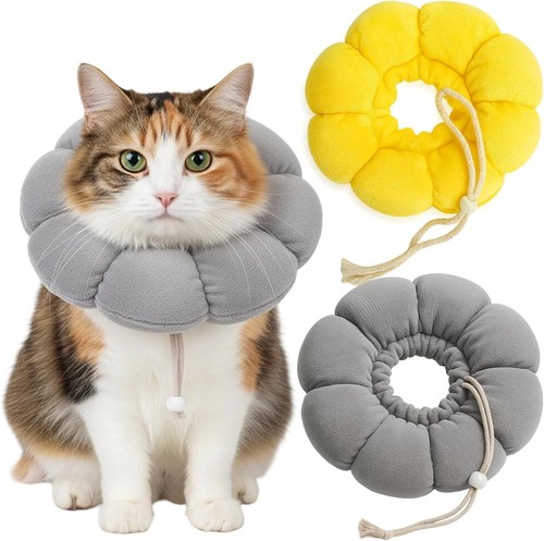 Halskrause katze set - katze,