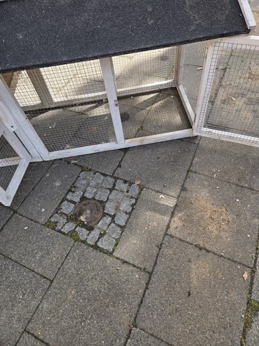 Hummelnistkasten