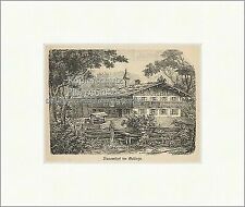 Bauernhof im Gebirge Ziehbrunnen Balkon Fürst Tor Zaun Pfette Holzstich E 20091