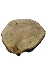 Kirsche Baumscheibe ca 31-35 cm Durchmesser und 6 cm Dicke , Baumscheibe