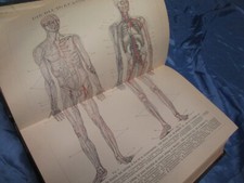 Brockhaus , 1892 , Konversations - Lexikon , Band 3  (14. Auflage ) , Antik Buch