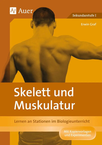 Skelett und muskulatur erwin - skelett,