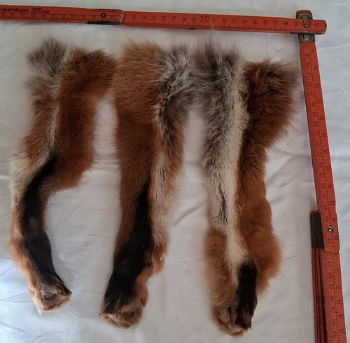 Echt fell rotfuchs - echt,
