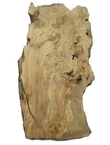 Oliven wurzelholz holz für - 1x,