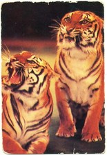 Taschenkalender 1982 - , --