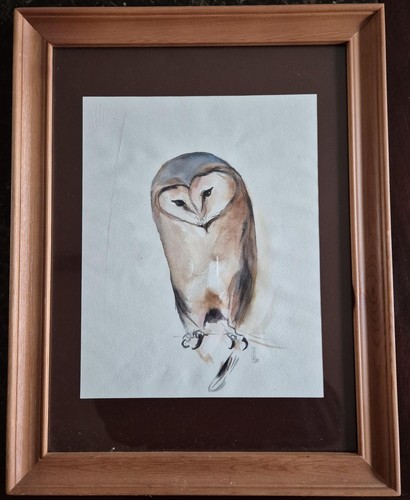 Eulen sammlung mit vielen - eulen-sammlung,