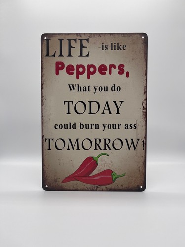 Blechschild pepperoni 20x30cm - blechschild,