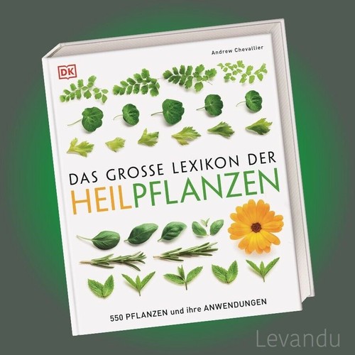 Das große lexikon der - große,
