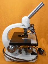 Labor Arzt Kurs Routine