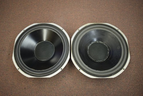 Ess amt monitor passive - 12",