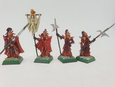 Warhammer Fantasy Dunkelelfen