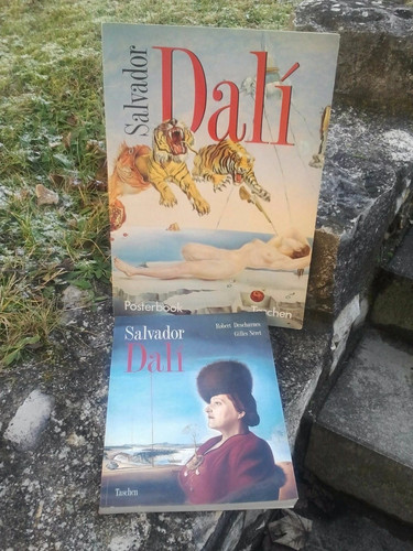 Salvator dali kunstbuch - dali,