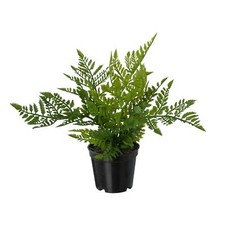 Künstliches Farn im Topf