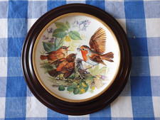 Hutschenreuther Sammelteller Wandteller Hungrige Rotkehlchen mit Rahmen und Z..