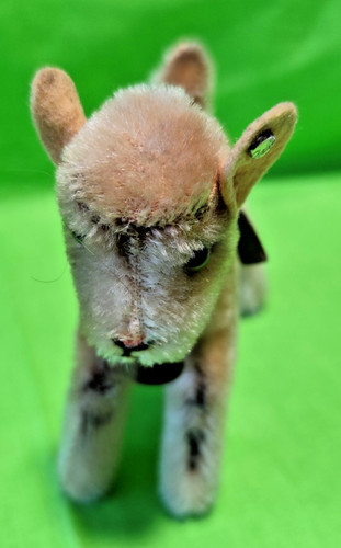 Steiff ziege zicky - steiff,, mit
