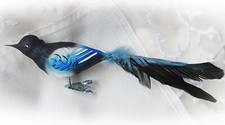 Elster glasvogel lauscha - ❀,
