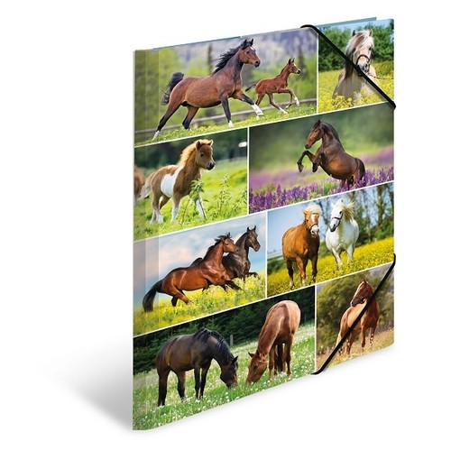 Herma sammelmappe sammel mappe - sammelmappe,