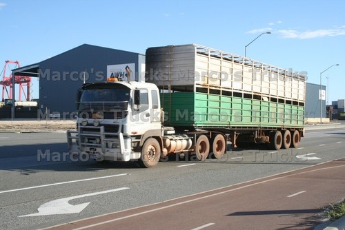 Lkw foto isuzu gxt - foto,