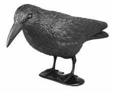 mgc24® Taubenschreck Rabe