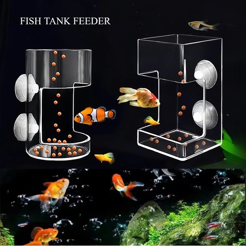 Aquarium futterring mit - aquarium,