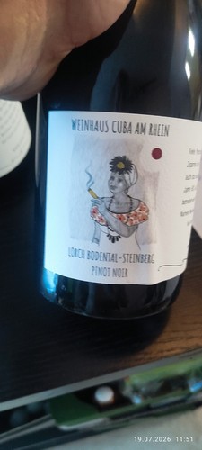 10x flaschen rotwein lorch - rotwein,
