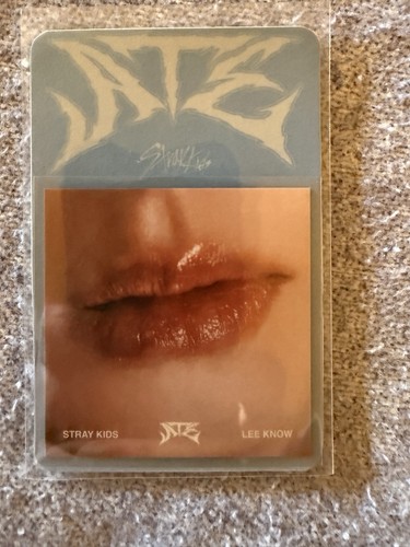 Stray kids lee know ate - stray,