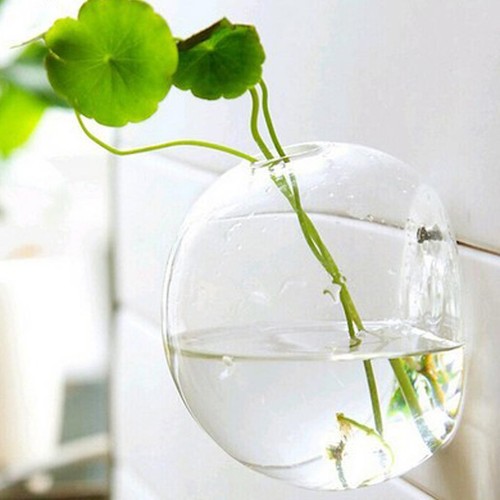 Verschiedene wandbehang glas - verschiedene,