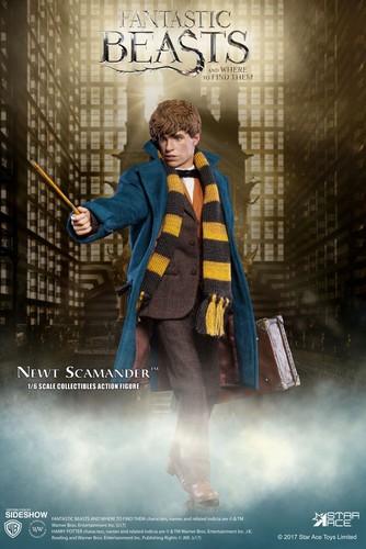 Harry potter phantastische - harry,