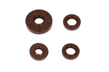 Simmerringe zum Motor und