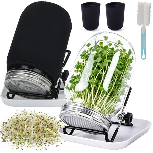 Pcs sprossenglas set - 2,