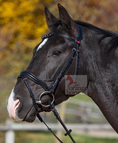Kieffer trense melina engl - kieffer,