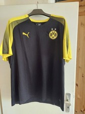 BVB Trainingshirt  3XL