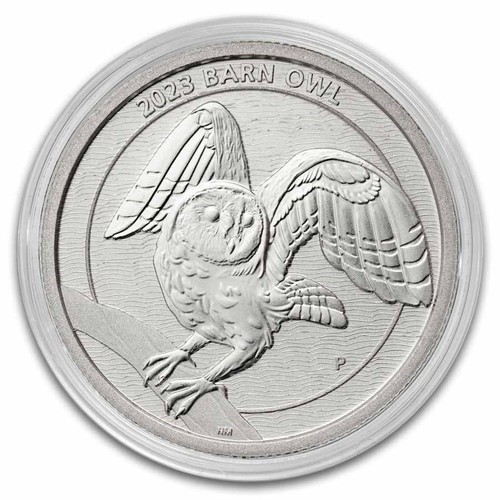 Australien 2023 barn owl - $,