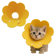 Premium Halskrause Katze