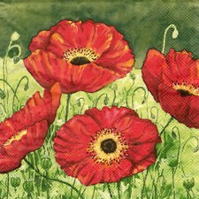 3 Servietten ~ Sommer, Wildblumen, Mohnblumen, Landschaft mit Mohnfeld ~ 33x33