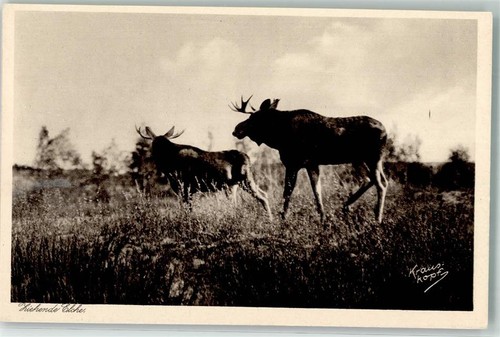 39579253 koenigsberg foto - -,