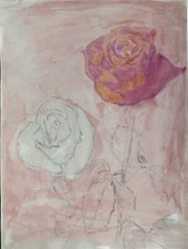 Blühende rosen blumen - blühende,