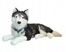 Dubi Stofftier Husky liegend