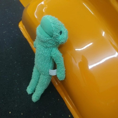 Sigikid frosch grün frog - frosch,