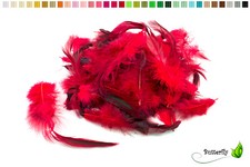 3g Hahnenschlappen 10-15cm