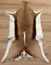 Springbockfell Tierfell weich gegerbt und geruchsneutral aus Südafrika #207-18