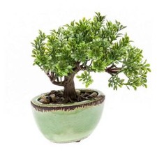 Künstlicher bonsai ficus - künstlicher,