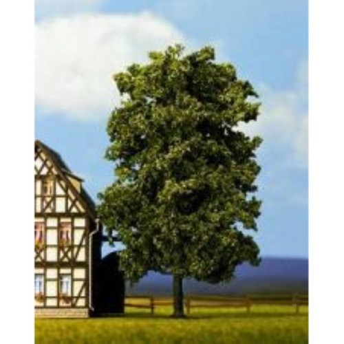 Noch 21780 linde - linde,, cm