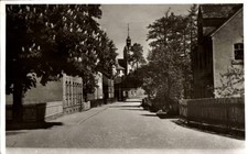 Foto Ak Stenn Lichtentanne in