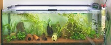 Aquarium 140x35x50 - , (lxtxh)