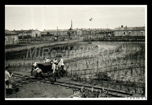 Foto emsland 1 - foto,,