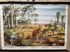 Alte lehrtafel riesen - alte, lehrtafel-