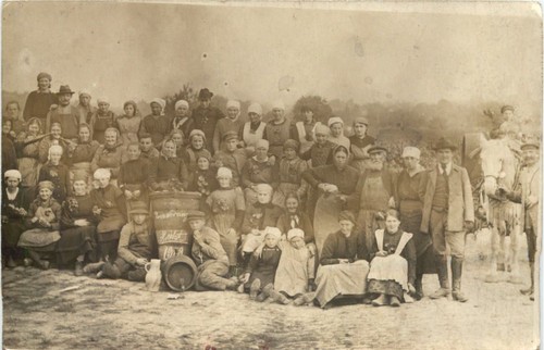 Grünstadt weinlese 1919 - grünstadt,