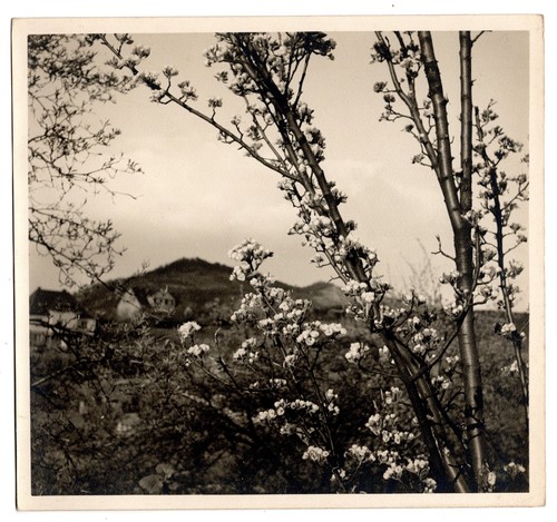 Fotografie georg fiedler - fotografie,